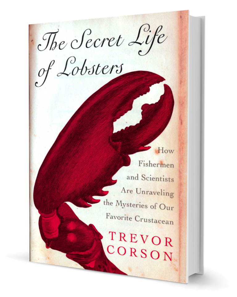 the secret life of lobsters